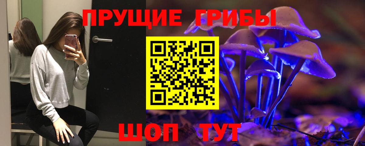 Галлюциногенные грибы Psilocybe  Вход с VPN  Отрадный  Галлюциногенные грибы MAGIC MUSHROOMS 